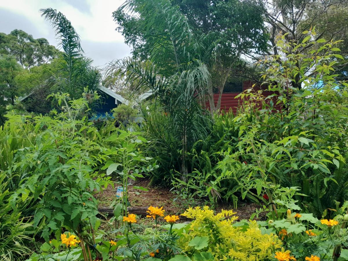 Sky Island Studios Tamborine Mountain Exterior photo