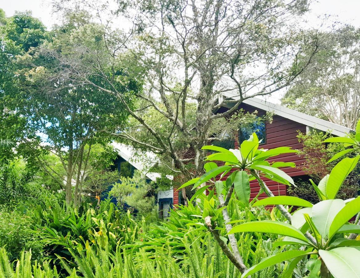 Sky Island Studios Tamborine Mountain Exterior photo