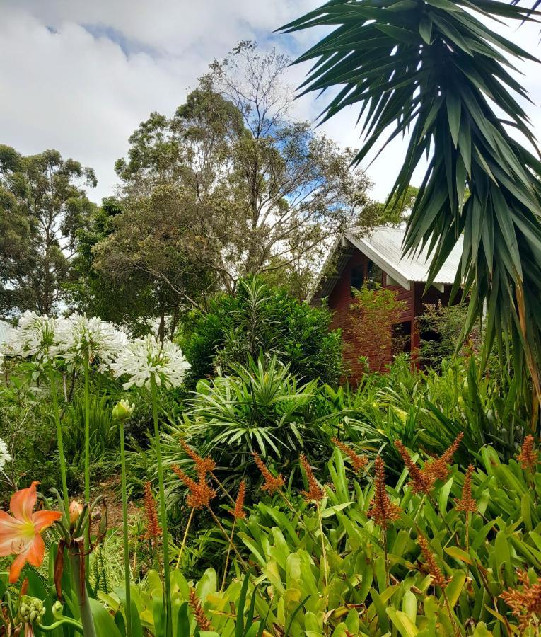 Sky Island Studios Tamborine Mountain Exterior photo