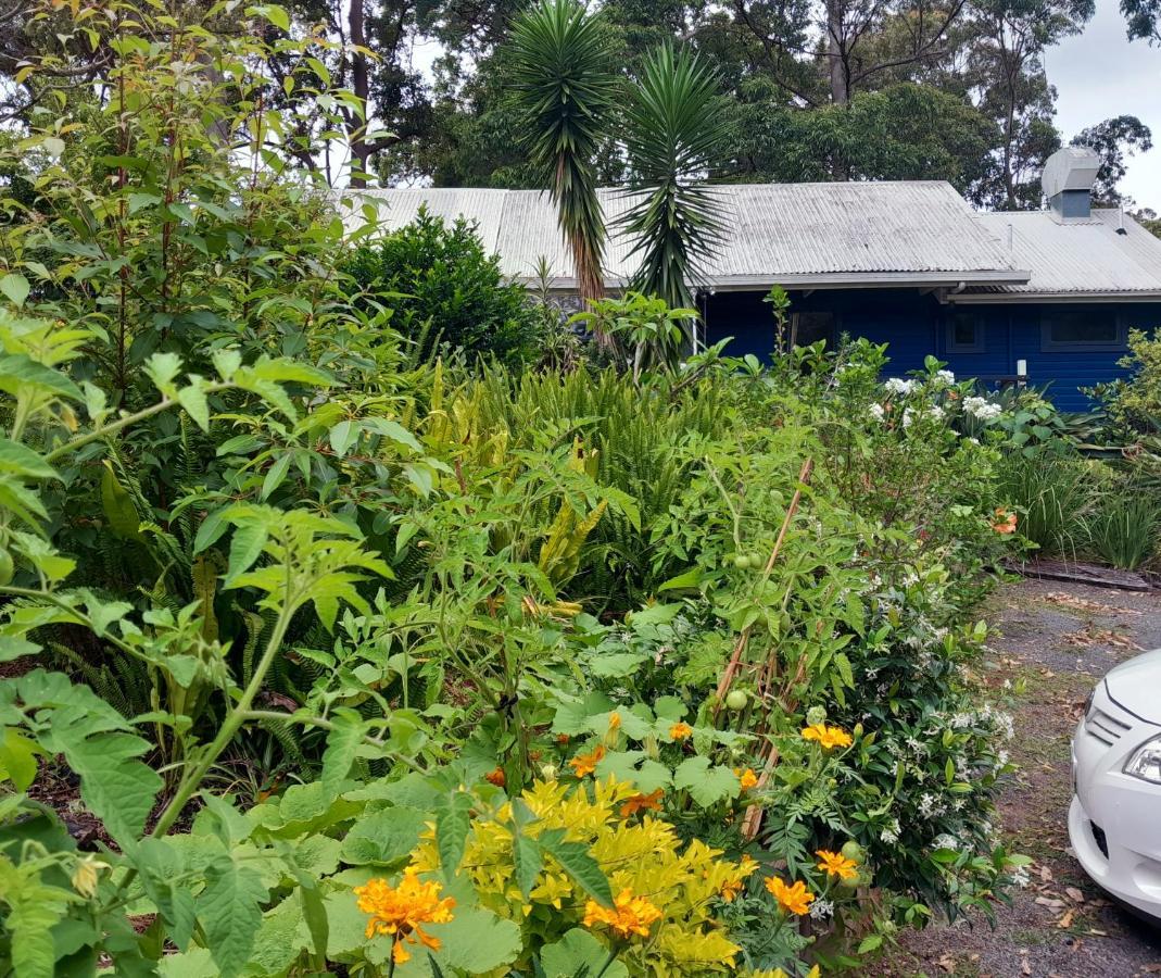Sky Island Studios Tamborine Mountain Exterior photo