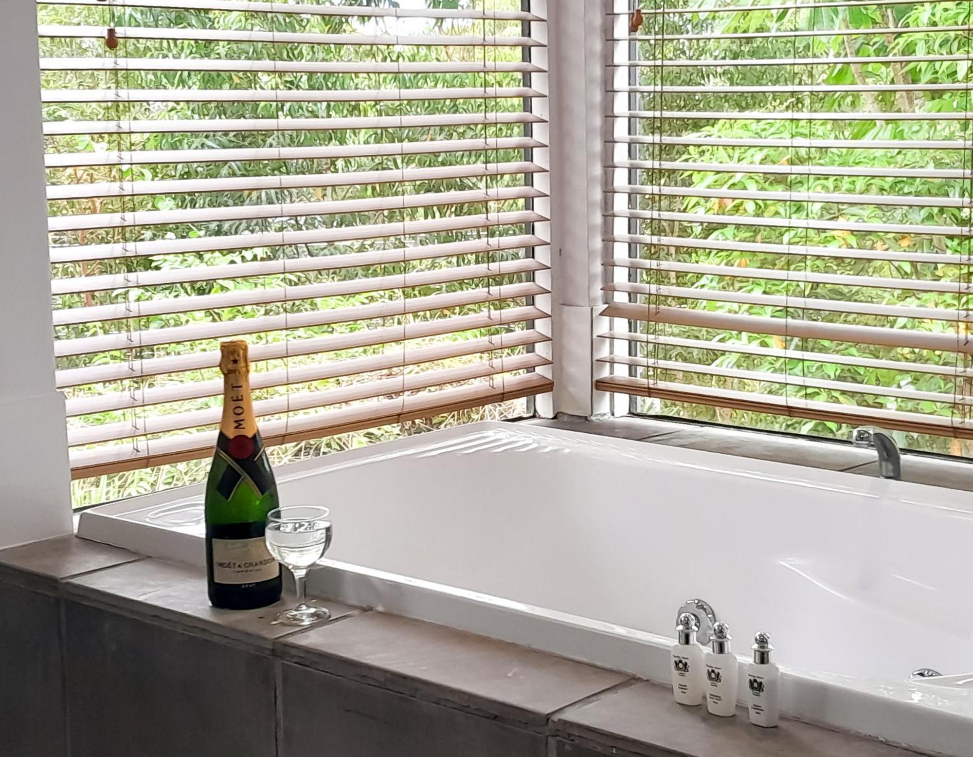 Sky Island Studios Tamborine Mountain Room photo